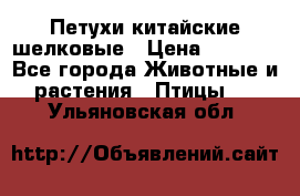 Петухи китайские шелковые › Цена ­ 1 000 - Все города Животные и растения » Птицы   . Ульяновская обл.